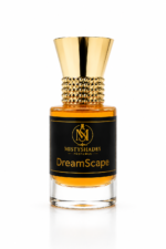 DreamScape